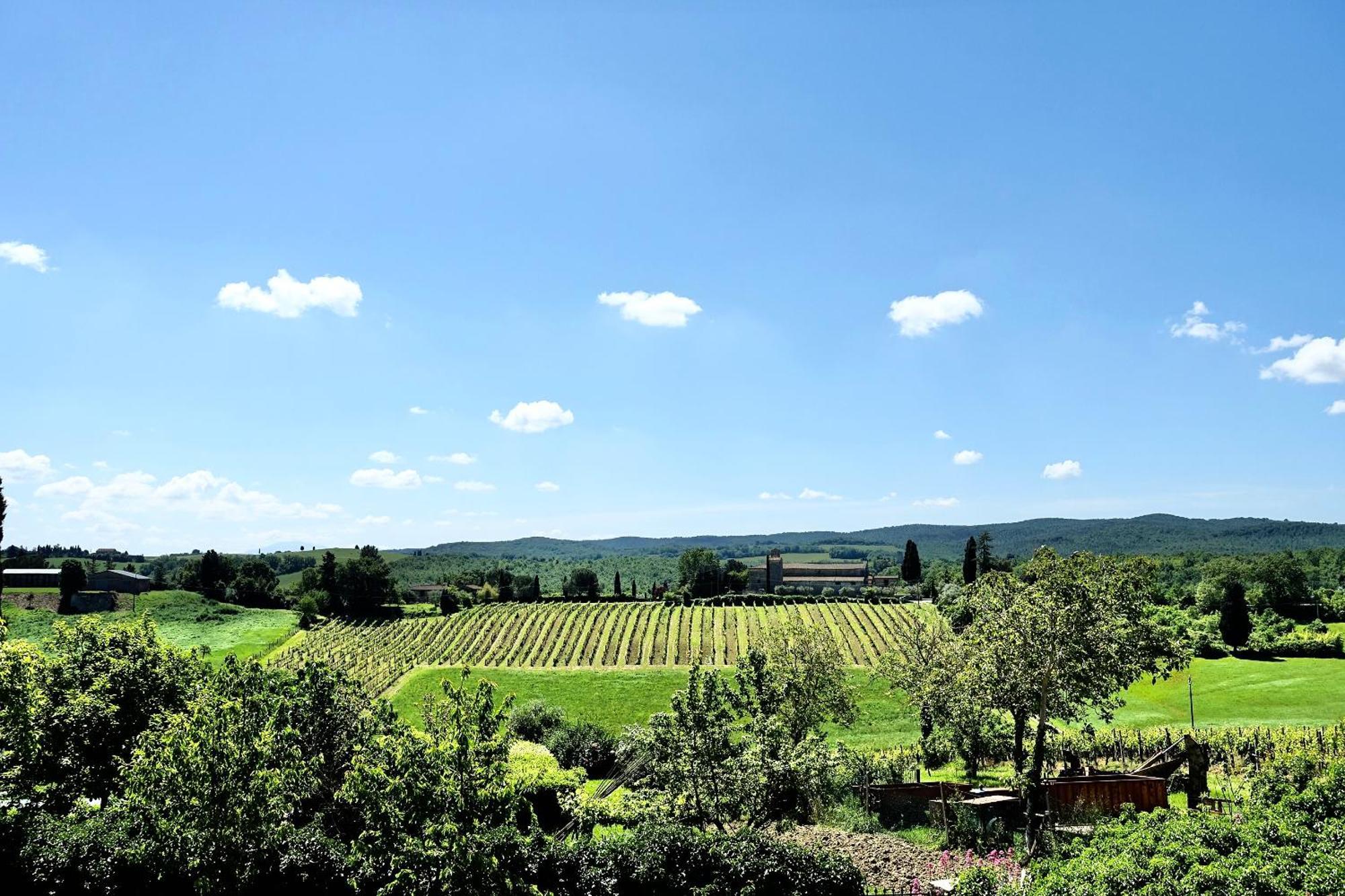 Villa Buonsignori - Wine & Olive Oil Farm Corsano  Exterior foto
